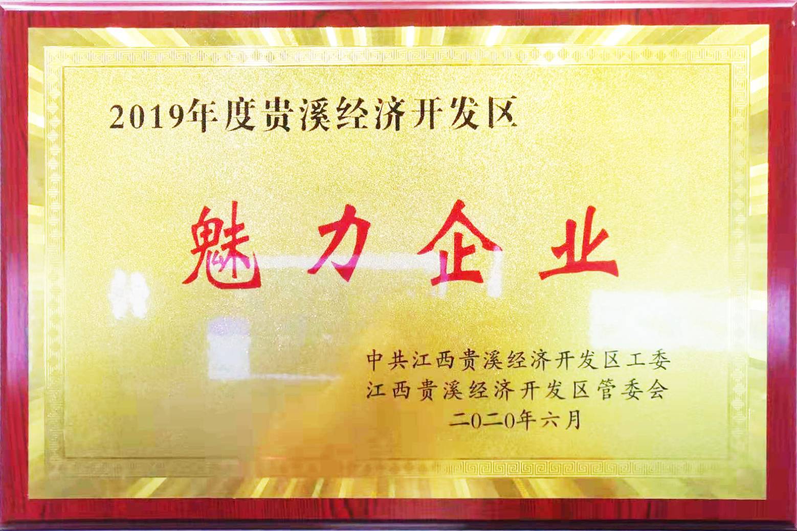 2019魅力企业